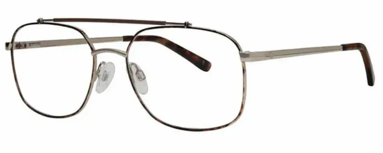 Stetson Eyeglasses Men ST377 Gold