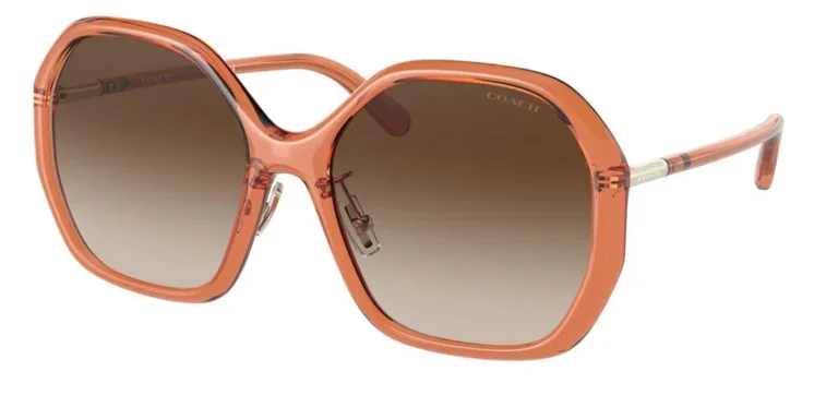 Coach - Sunglasses Women HC8343 Transparent Amber 57001357 57mm