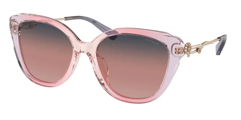 Coach - Sunglasses Women HC8347BU Gradient Transparent Violet 55mm