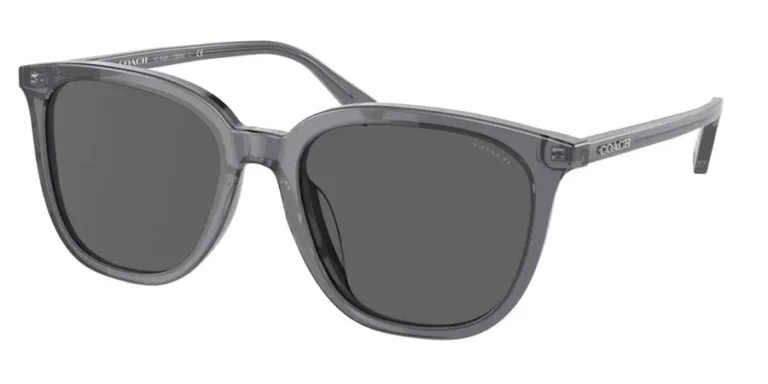 Coach - Sunglasses Men HC8338U Transparent Dark Grey 553787 55mm